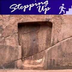 Collapsing Paradigm; Rising Consciousness