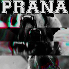 PRANA - COAL MINE SOUND 70K PLAYS