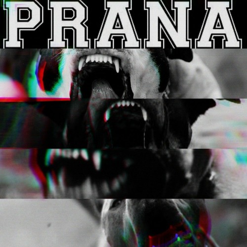 PRANA - COAL MINE SOUND 70K PLAYS