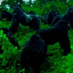 After Hours (ft. A_Real)