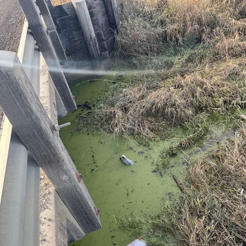 all my friends have changed and i have too (flat stanleys cover)