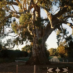 Infinite Wurldwide w/Dot.AY - Kris Keogh Guest Mix - 06302021