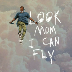 lookmomicanfly