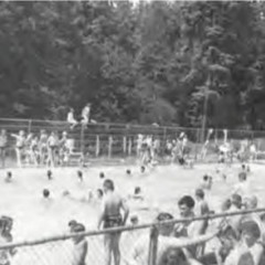 Wonder Elel - 2020 - 04 - 16, 11.01 AM