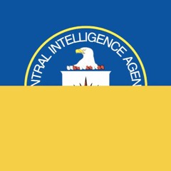 Western Officials Admit Ukraine Is Crawling With CIA Personnel