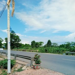 Hoa cỏ lau siu cháy [ Phong Max ]