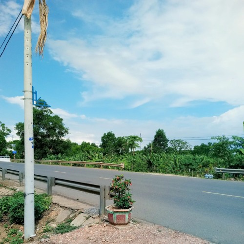 Hoa cỏ lau siu cháy [ Phong Max ]