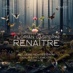 Florian Gasperini - Soledad (Original Mix) (snippet)