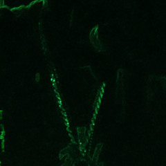 "Like That"Lilfye.m4a