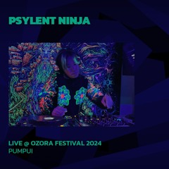 Psylent Ninja @ Ozora 2024 | Pumpui