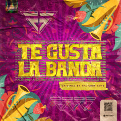 Te Gusta La Banda (Original By The Cube Guys)