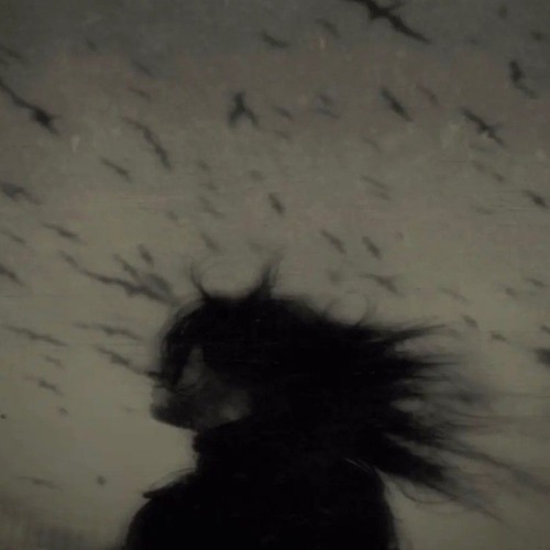 There are many type of monsters