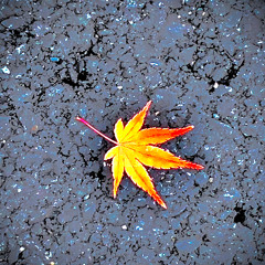 Give Thee of Bread, Water, Nourishing Spaciousness