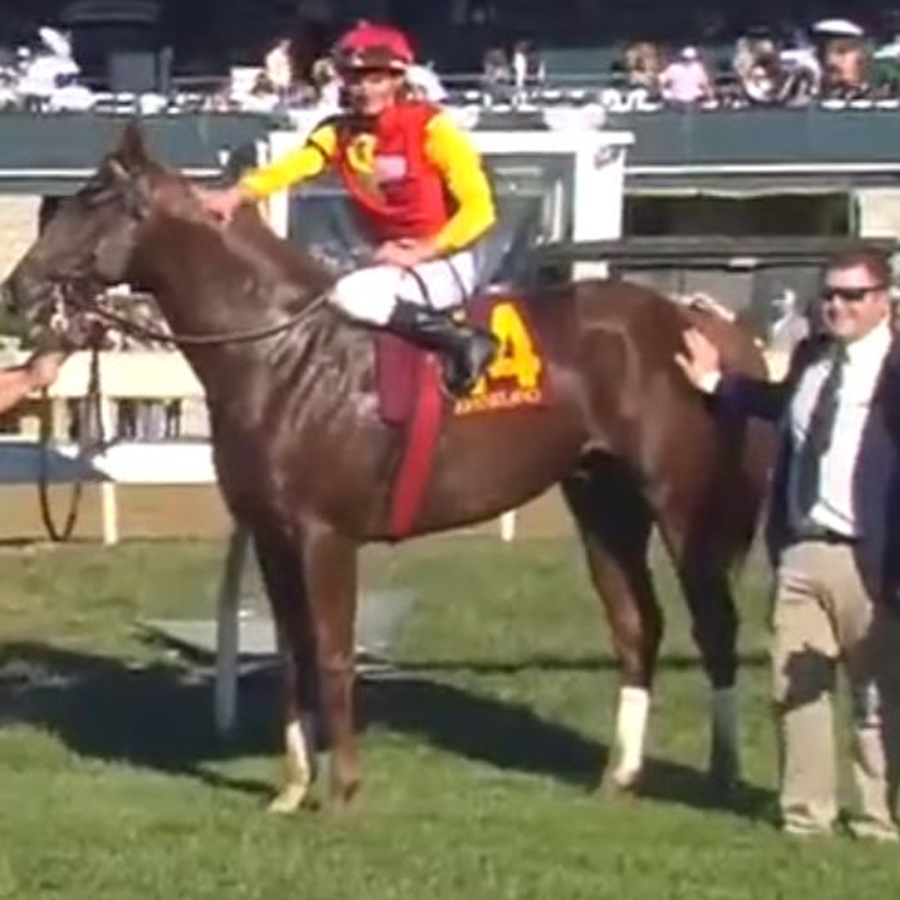 The Auxiliary Gate - Kentucky\'s Horse Racing Discussion