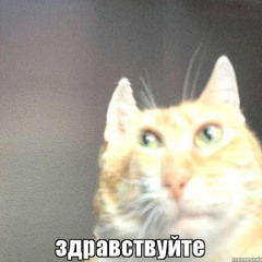 Ты же знаешь (ft. Бьянка)