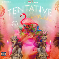 TENTATIVE MELODIES-Edicion Perreo