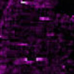 Brainrot Prod. Senseless