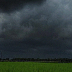 merry go round of life (distorted remake)