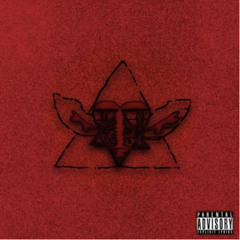 Kappastar - summertime