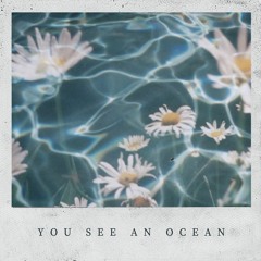 You see an ocean