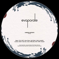 Evaporate Various Artists 007 [ZFVA007] | Snippets