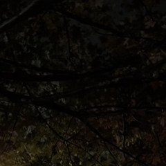 [2019] virtnvile - TypicalInsecureSong (Prod.ayazra) (2025 Remaster).m4a