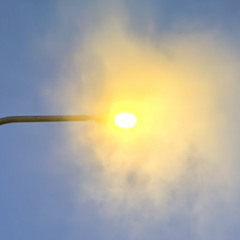 Street Light Riot