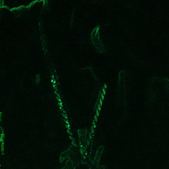 Anarki#Lilfye demon take your soul grand reaper.m4a 223 223 223 233