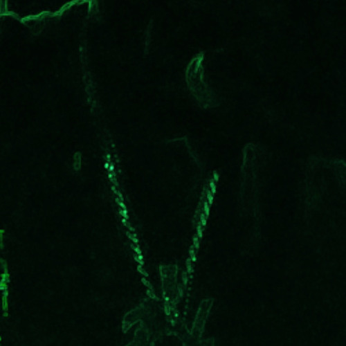 Anarki#Lilfye demon take your soul grand reaper.m4a 223 223 223 233