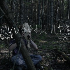 Blood on Rusting Needles