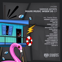 Oravla Ziur - Catching Vibes (Original Mix)