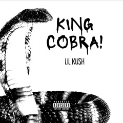 KING COBRA!