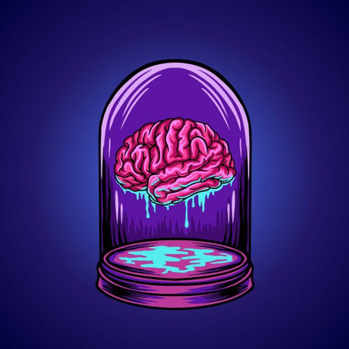 “ဦးနှောက်” Brain by Eric (demo ver.)