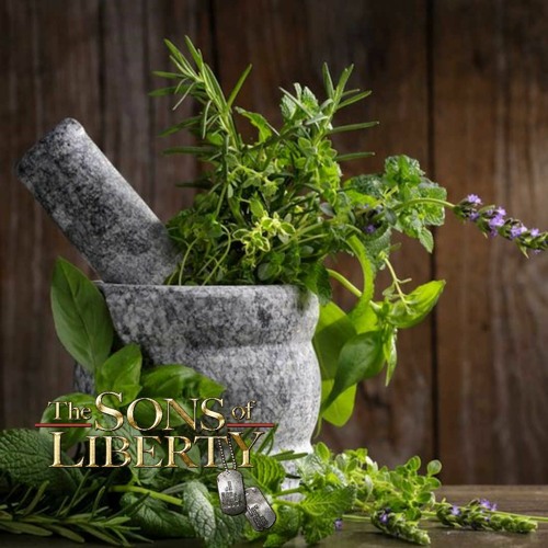 Prepping 202: Growing Food & Herbs For Health & Healing