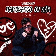 Namorando ou Não - Clayton e Romário (Funk Remix)