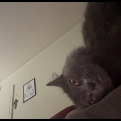 oh my god fog lake (remake demo1 )