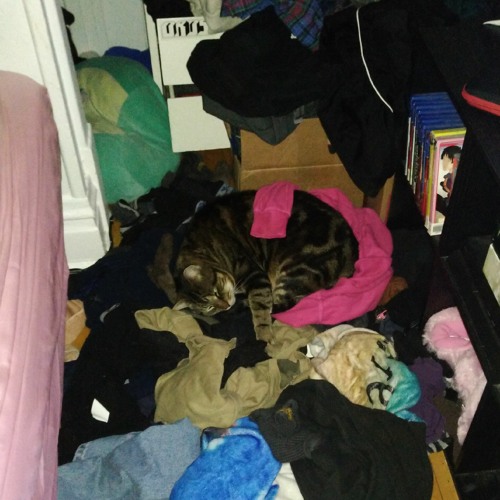 honeydew moist boy change mimind