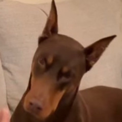 808s ohne Diamanten 💎