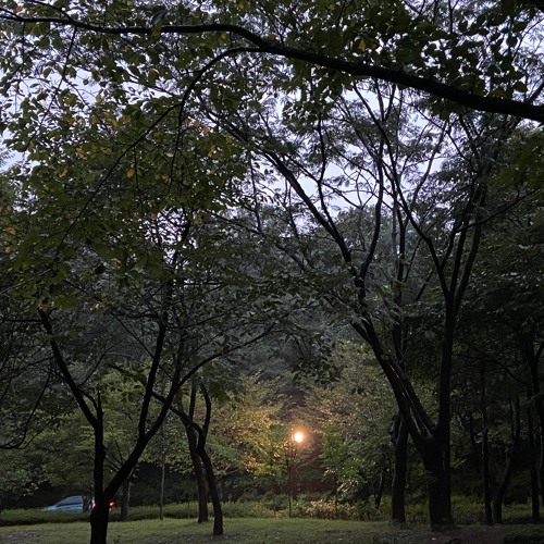2020/9/7 우산산책