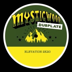 MYSTICWOOD STUDIO // ELEVATION 2K20 // MIX 1