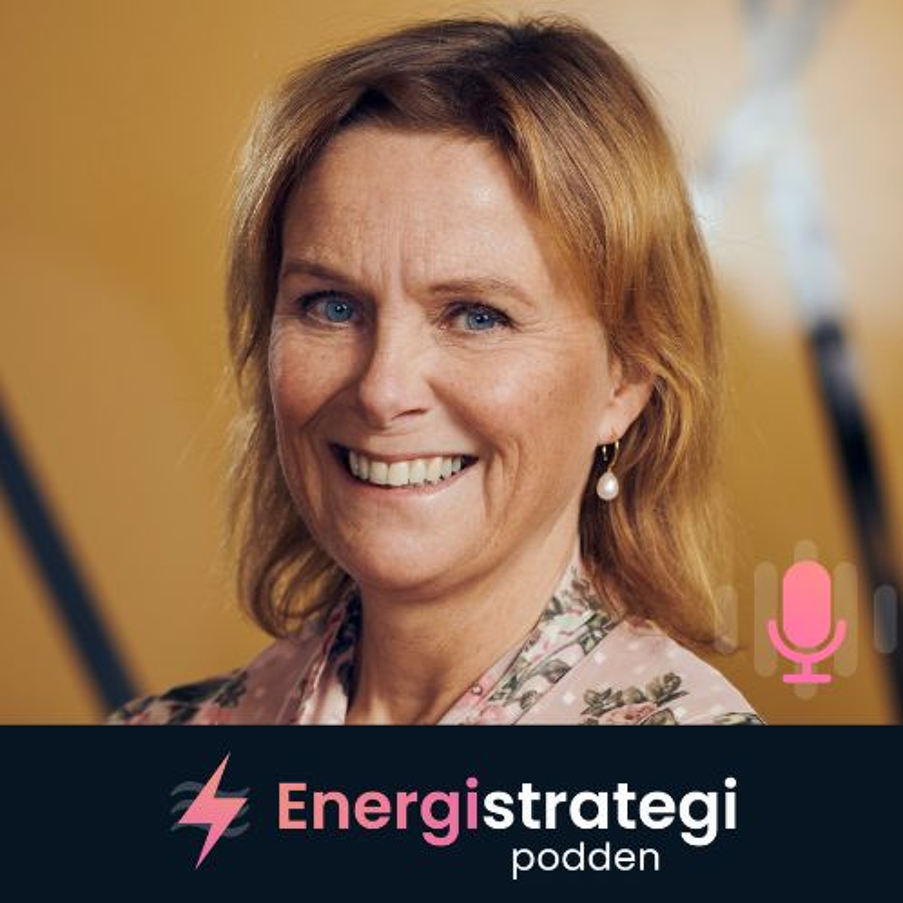 Energistrategipodden