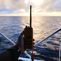 New Shores Calling - Gert Holle - 161125 Ulfa