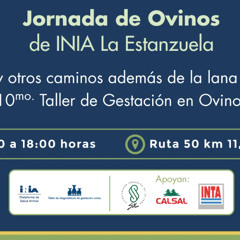 Gabriel García Pintos - Taller Gestación en Ovinos