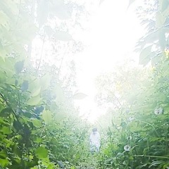 dissolve myself in the wlan (zeromandia)