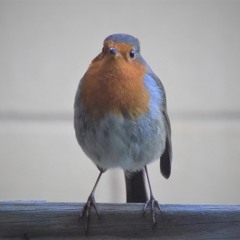 Time To Stand Still V2 X