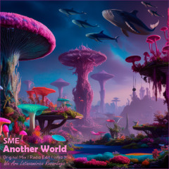 SME - Another World (Radio Edit)