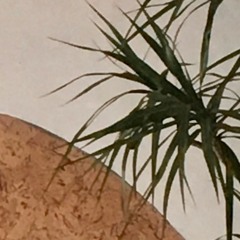 Bubble (King Creosote Song)