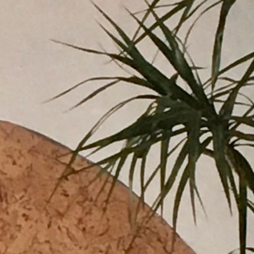 Bubble (King Creosote Song)