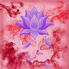 Soul Clarity - ft. MDMA (prod. sensüs616)