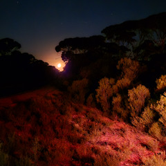 We Should Have Stayed Here